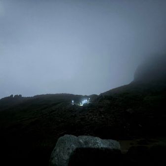 富士山はこの大行列なんやろな