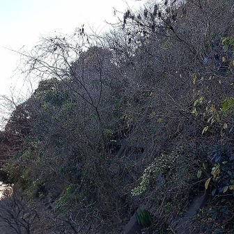 私有地のフィールドメモあるので行きませんが、ピーク判定されました。