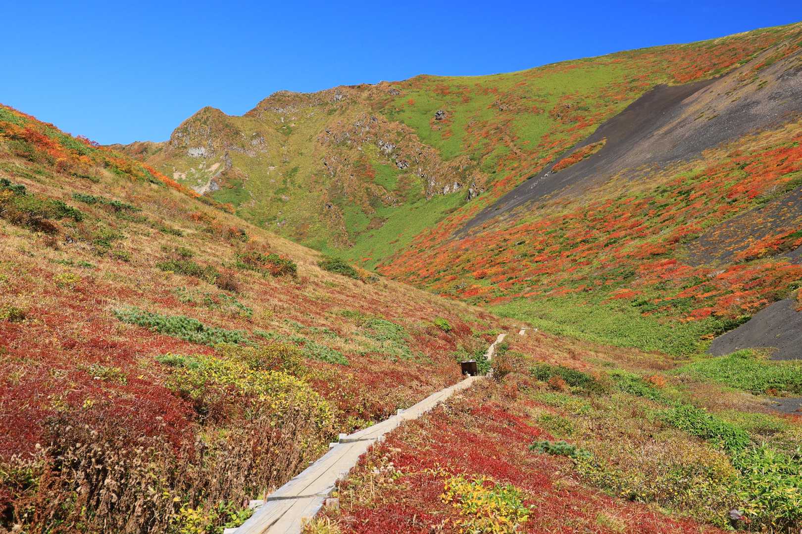 男女岳 | 優しくたおやかな山容。お花畑とダイナミックな火山の景観を両取りの写真