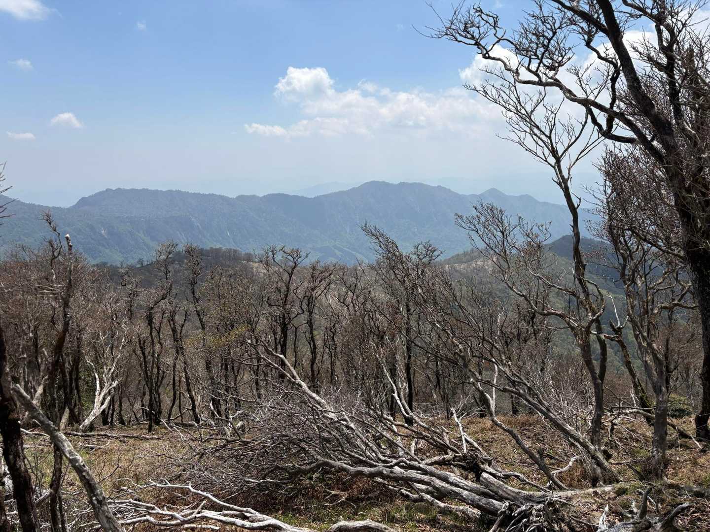 宇土内谷登山口-大崩山 往復コースの写真