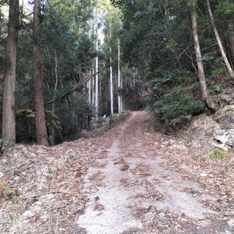 車の気温計は１℃
雪ナイ⛄️ﾖｶｯﾀｰ