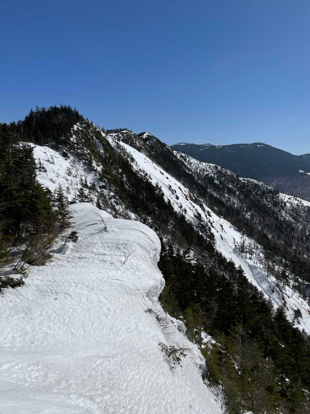 この雪庇の上は歩かない。
写真の左側を巻いてくるとここに出る。