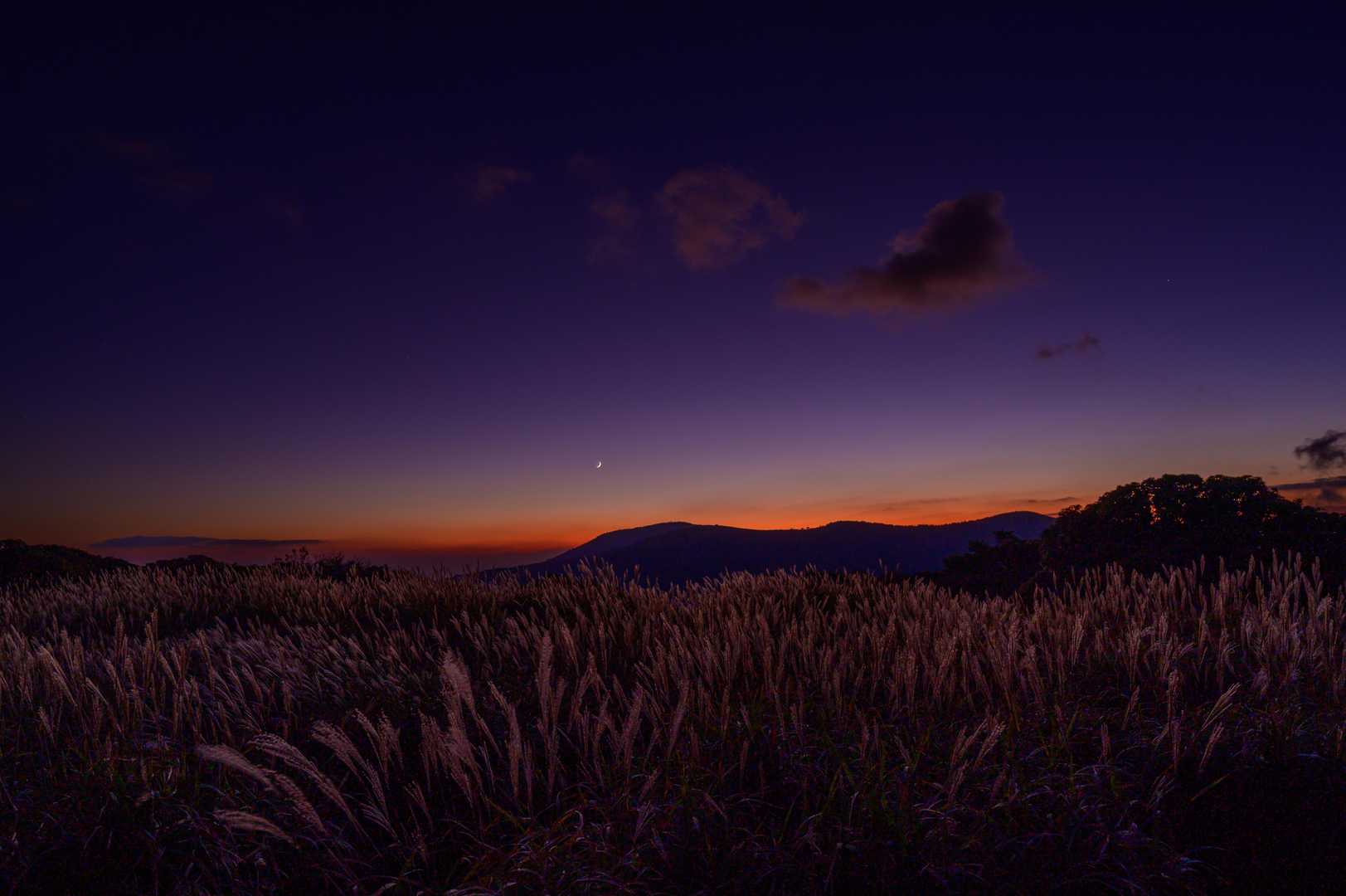 夜の帳が下りる　⛰️