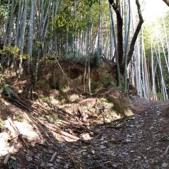 ここで左折だった。
これはまっすぐ行っちゃうよ😅

ヤマップ様様👏✨️