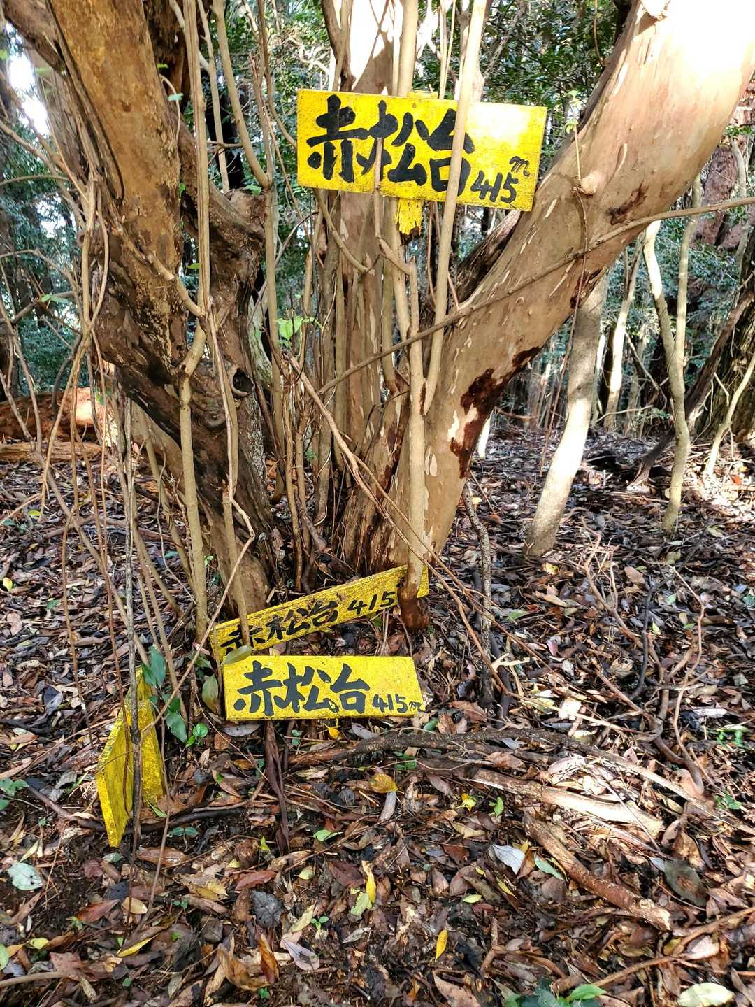 ピーク6
赤松台

こんなに表示いる？(￣▽￣;)