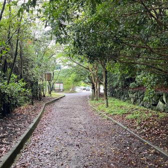 駐車場振り向いて