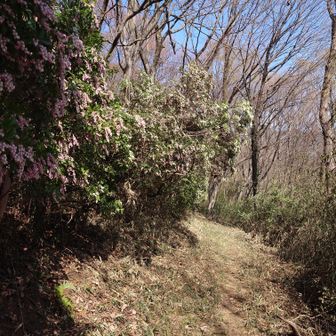 なので、右を選択しました🥰