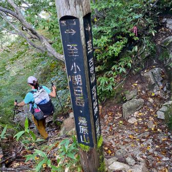 巻道との合流地点