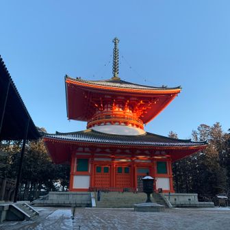 　朝日浴びて輝いてました😊