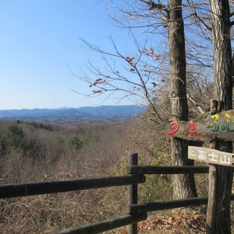 市民の森の「夕焼ふじみの丘」。富士山は見えなかった。