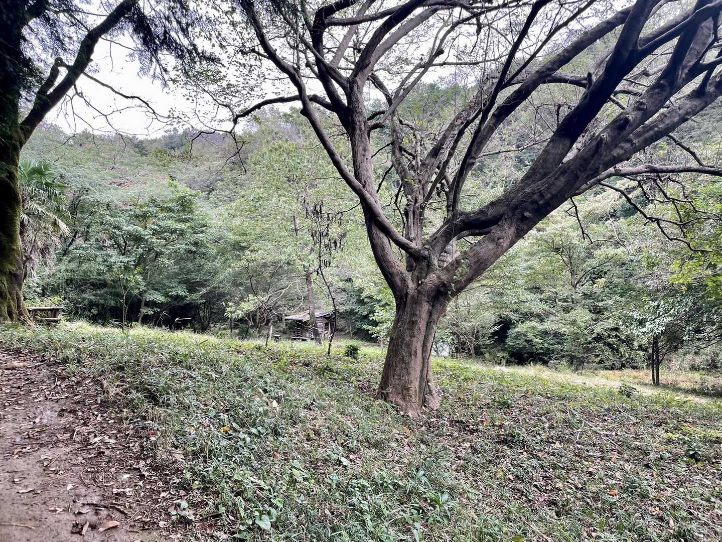 へそ曲がりは天覧山を避けてこちらから行きます！