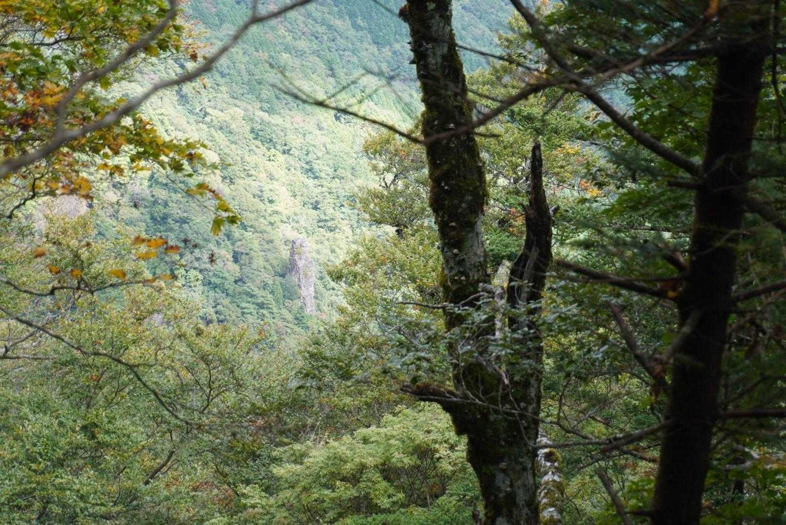 mizuka「あの下の方に見える大きい岩が天柱石やよ」
あそこを通る登山コースもあるけど
大変や💦