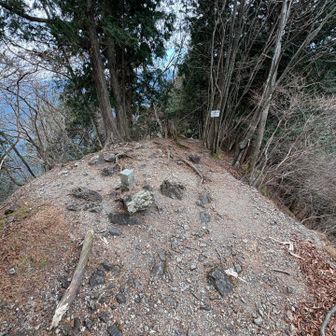 んで「石裂山」山頂到着。
素っ気無い山頂。

関東百名山に相応しいのはどちらかというと「月山」かと。
標高も月山の方が高い。