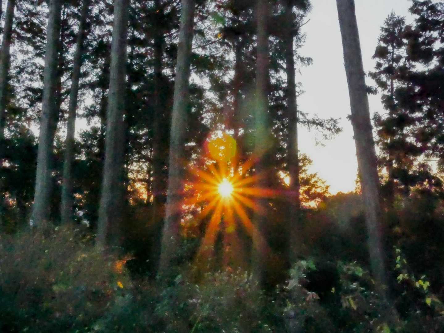 ☀️朝日
