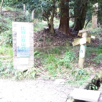 登山口到着。今日はここまで