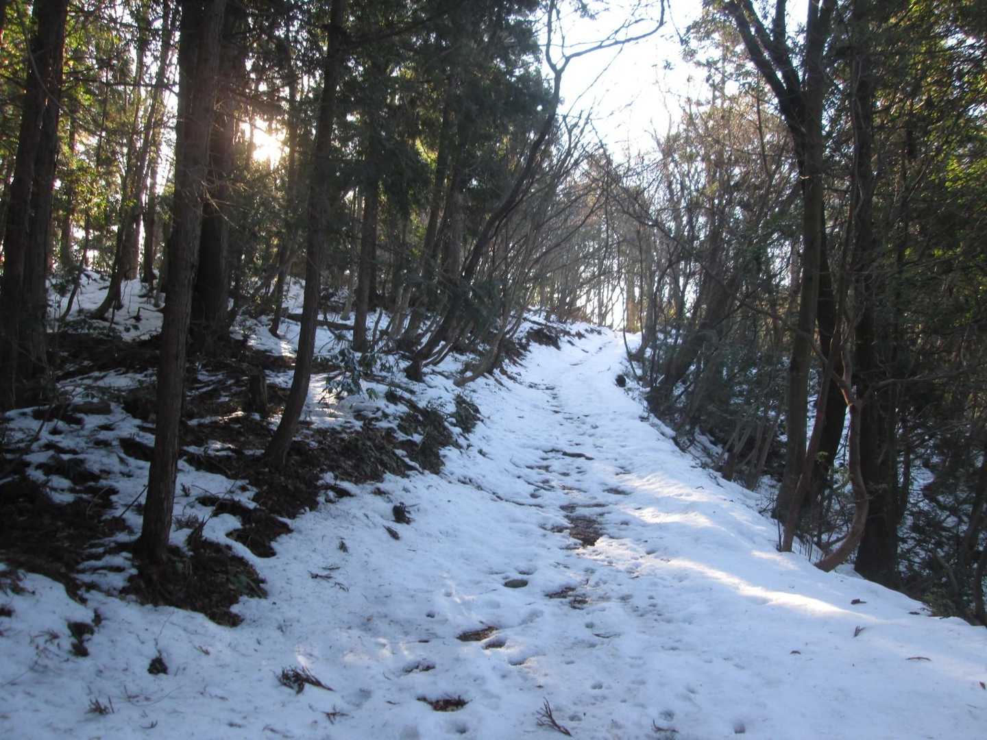 雪積もっているけど、歩きやすい。