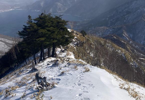 ティラノ剣山｜栃木県の登山記録 | YAMAP / ヤマップ