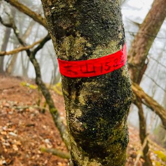 ここは登山道がない山頂だけど来るのは楽