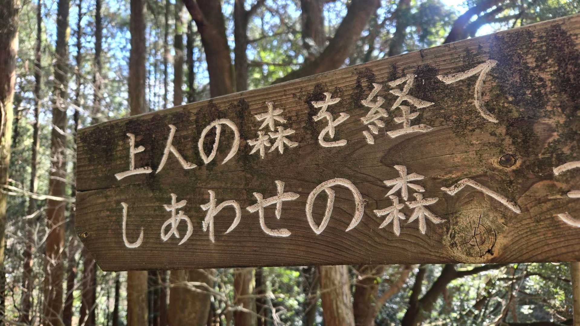 鹿児島県民の森はとにかく
広ーーーい！