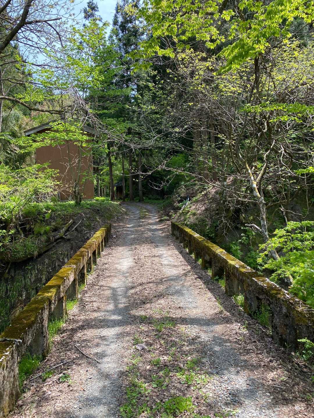 吉祥嶽（大毎橋）の写真