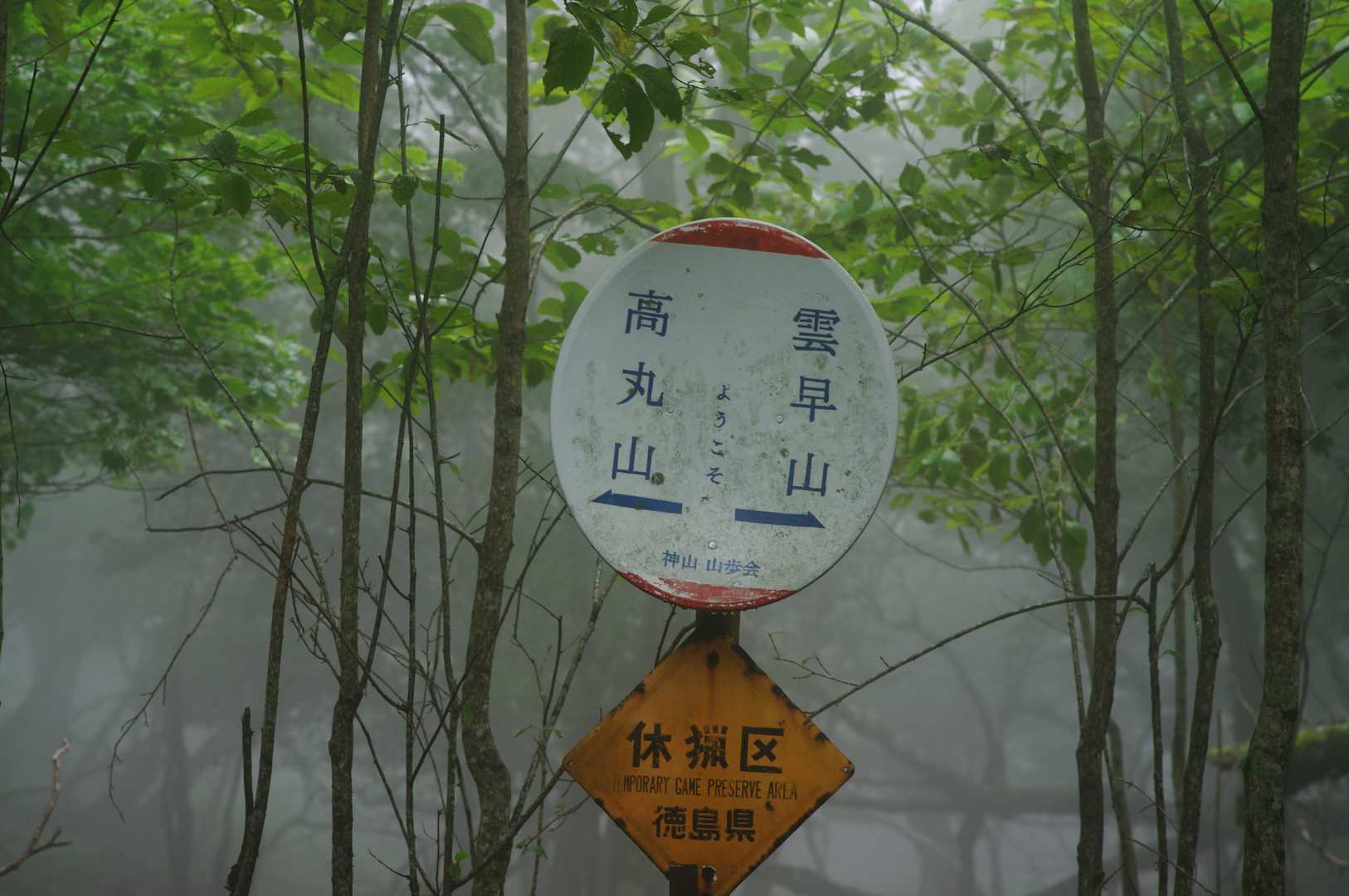 パラボラ標識📡