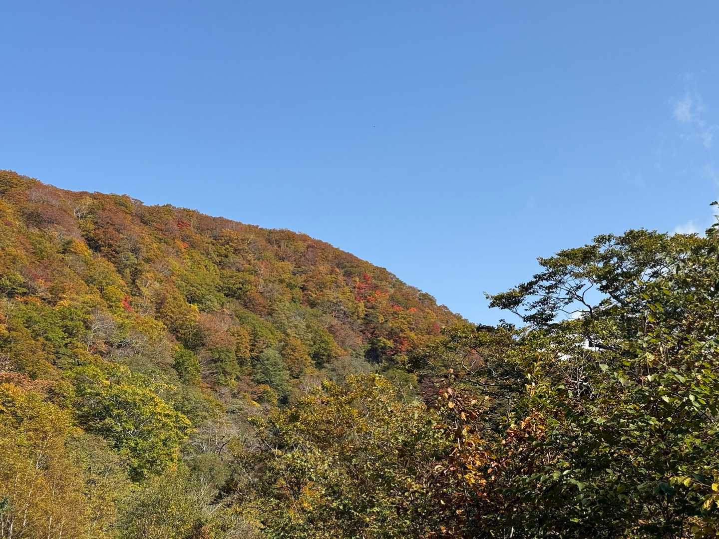 三ツ石山往復 | 山肌が真っ赤に染まる奇跡の全山紅葉、岩手山を望むパノラマ特等席の写真