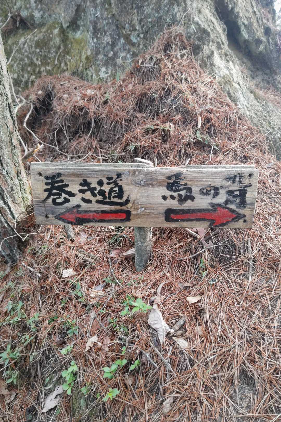 どっちに行くか🤔
もちろん馬の背だよね😁