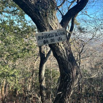 16 新田山　ラストです。