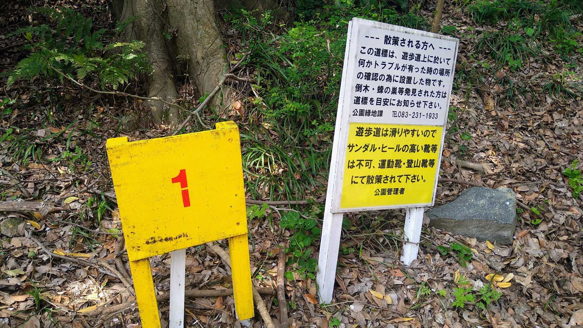 ついでに山頂に向かいます