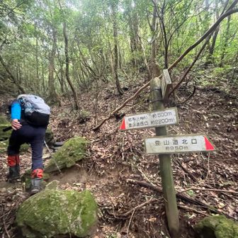 帰ってます、滝巡りコースとの分岐。