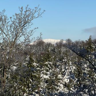 真っ白な伊吹山