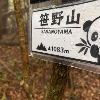 笹野山🐼　とうちゃこ〜
パンダ🐼ちゃんがいたら　お気に入りコースかな？🤭