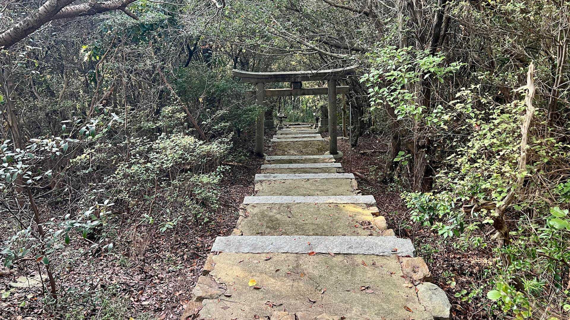 階段を下りて今日一日の瀬戸内海と島を堪能しました
お疲れ様でした🤗