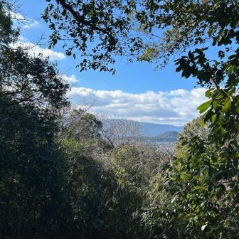 天香山のピークから葛城山と金剛山