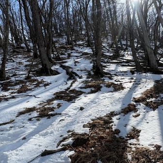 最後の上り、結構凍結踏み固められていましたがチェーンスパイク無しで上りました。ただ下りは着けることにします。