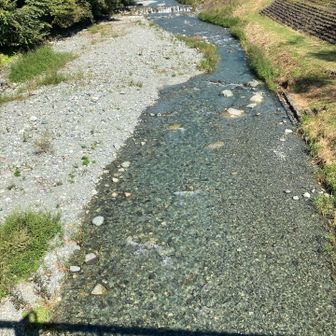 透明度がハンパない