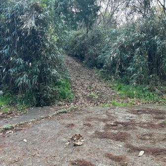 ここから頂上を目指す