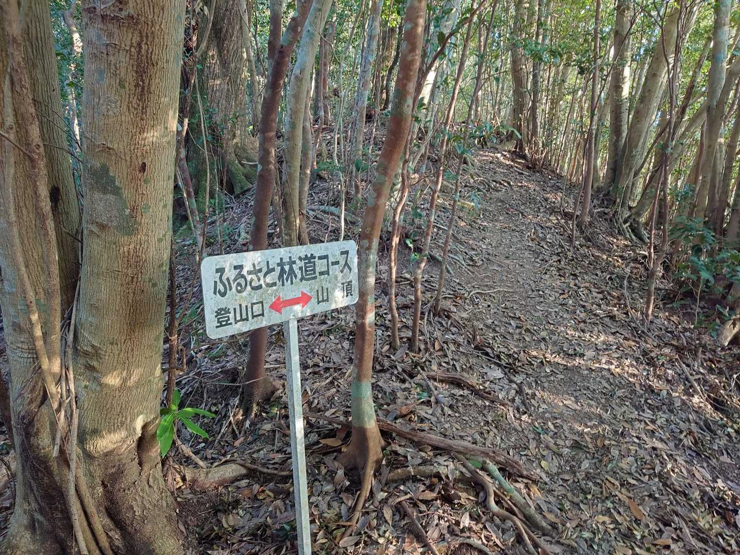 自分の残した足跡👣をあちこちに見ながら下山
標高は高くないけど、十分きつくて楽じゃないコース
さすが九州百名山を多く抱える宮崎の山   
活動記録でロングコース＆「きつい」登山されているツワモノが多く  メジャーでなくともみんなから愛されてると伝わってくる山でした