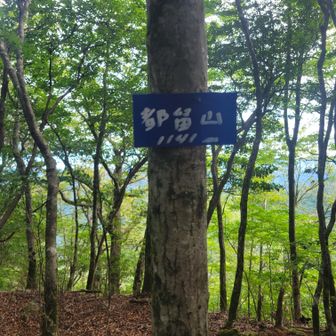 小さ過ぎて気が付きませんでした。
帰りに発見