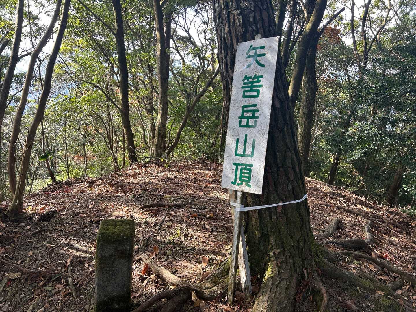 ピーク🚩