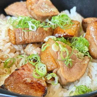ゆずりは 鴨肉の丼