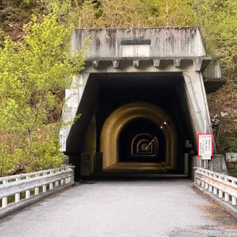 いざ！
このトンネルの手前を➡右に