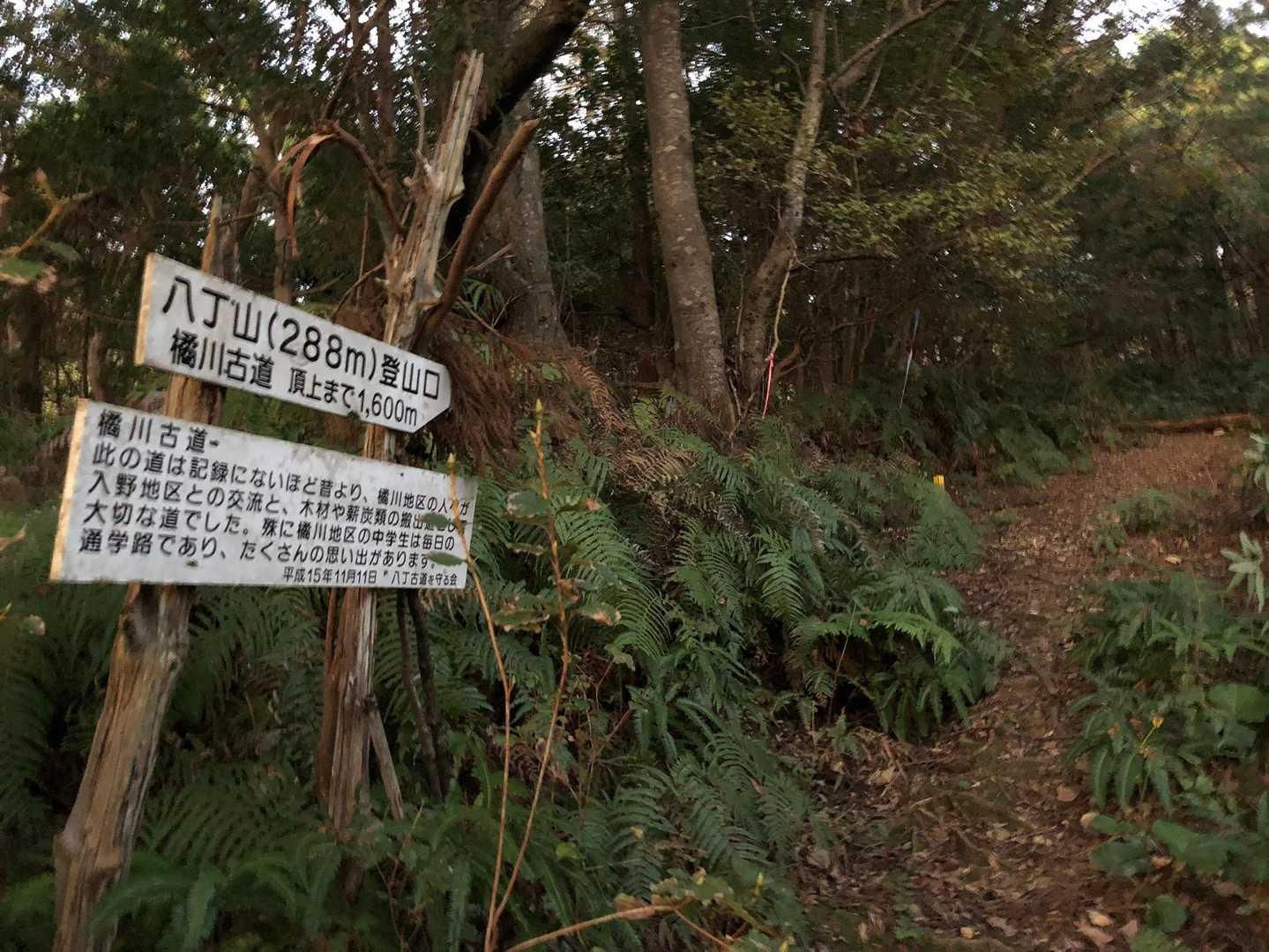 八丁山登山口-八丁山 往復コースの写真