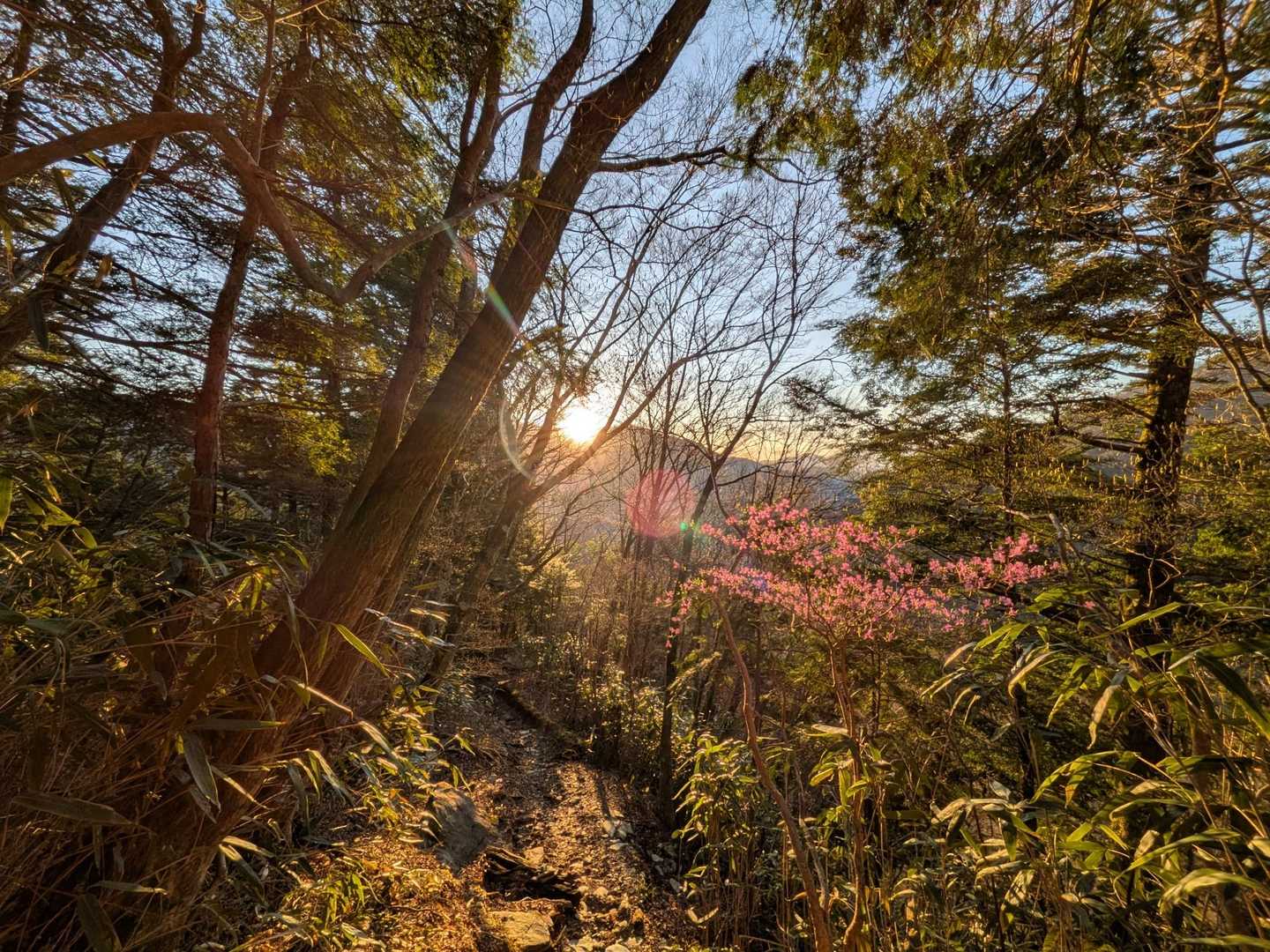 旧寒風山トンネル南口-桑瀬峠-伊予富士-寒風山 周回コースの写真