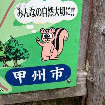 目ヂカラリスくん