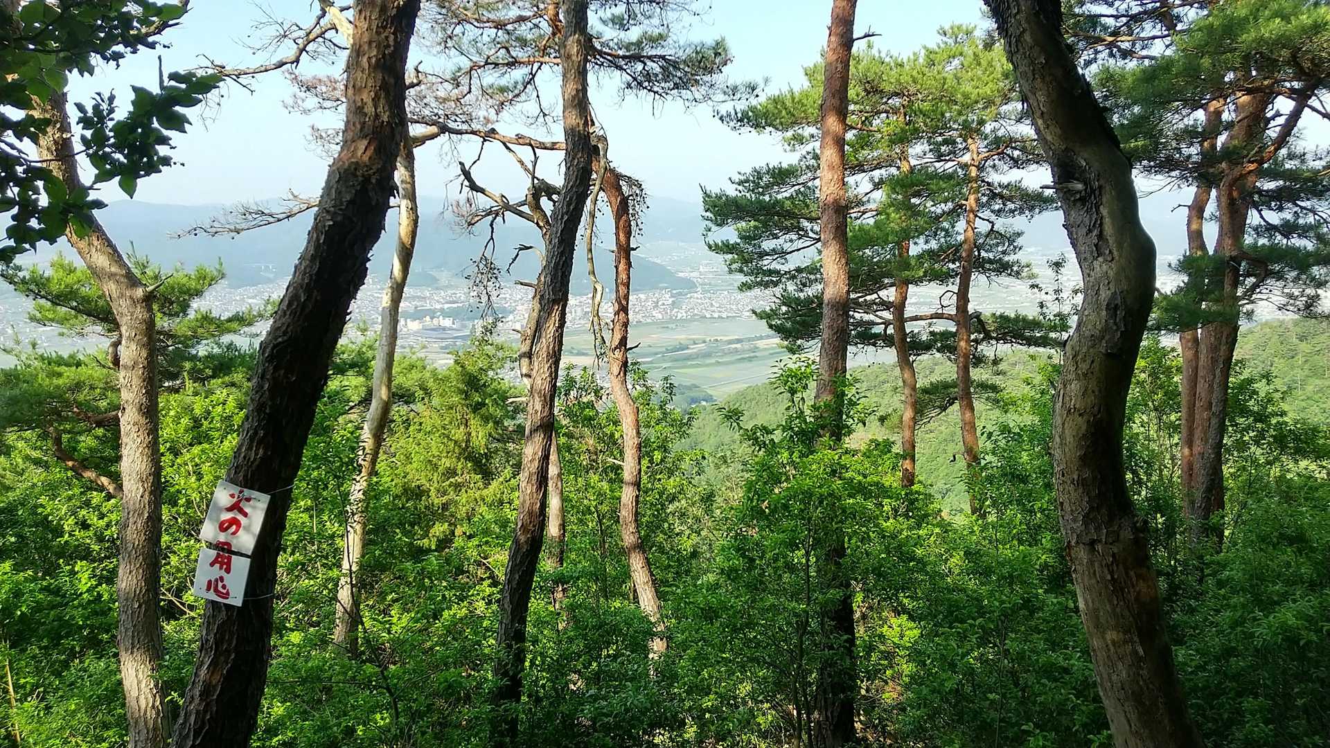 牛松山 往復コースの写真