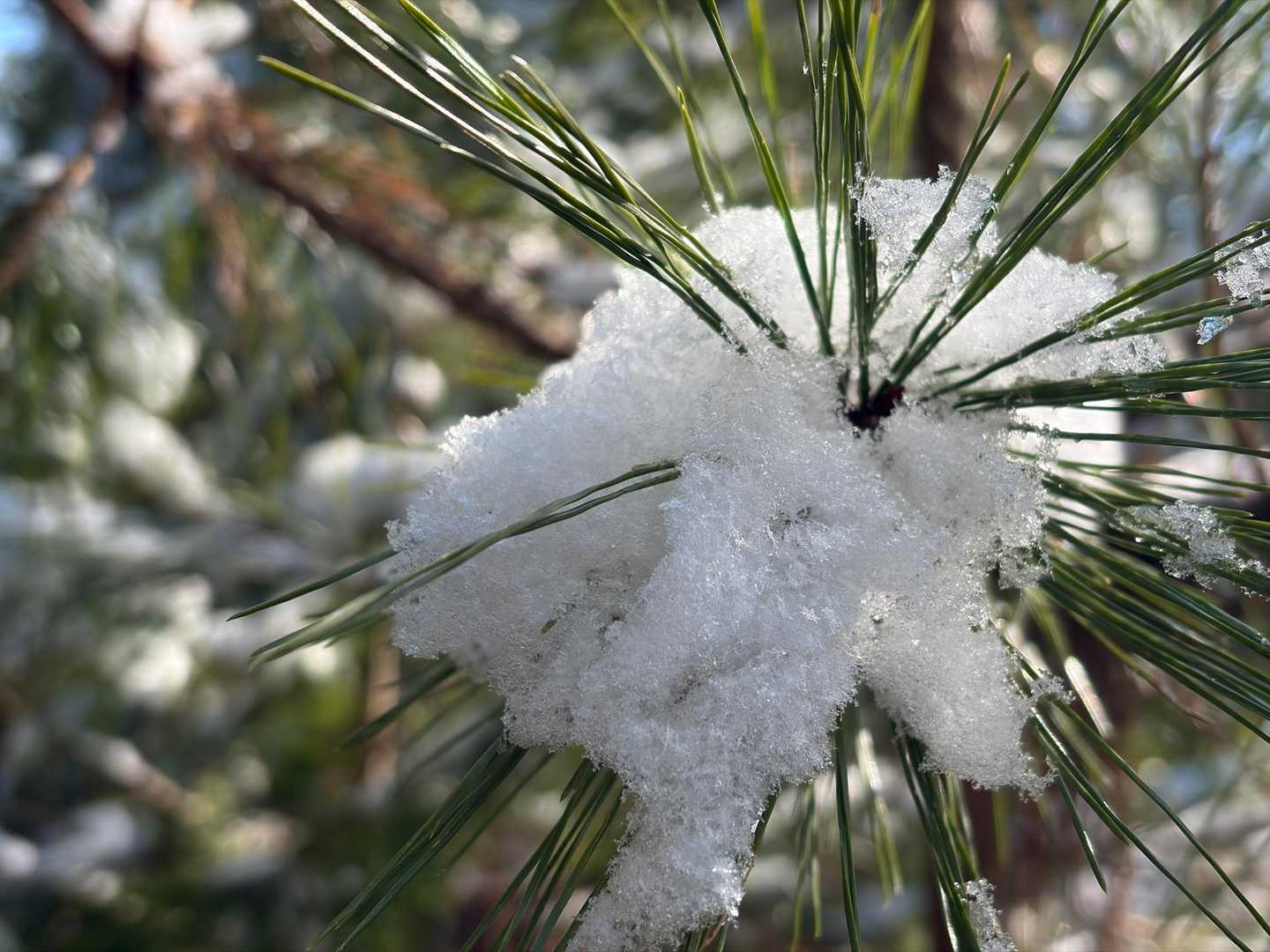 雪積もってる所キレイやん💕