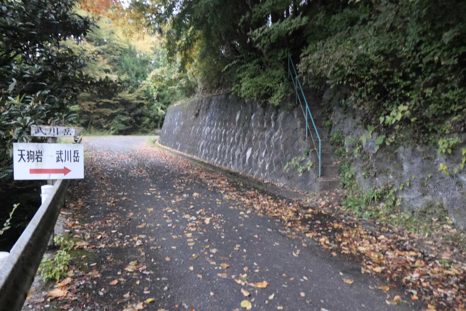 この階段を上がって登山道に入ります。