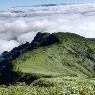 新道からの登山者は少なめでした