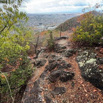 何気に岩場の方へ